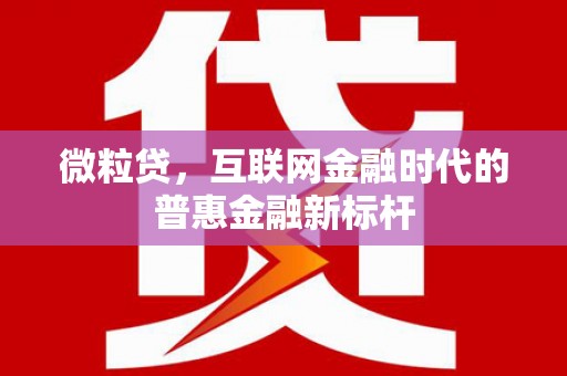 武隆微粒贷，互联网金融时代的普惠金融新标杆