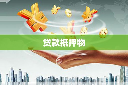 武隆贷款抵押物