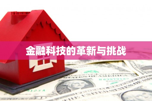 武隆金融科技的革新与挑战
