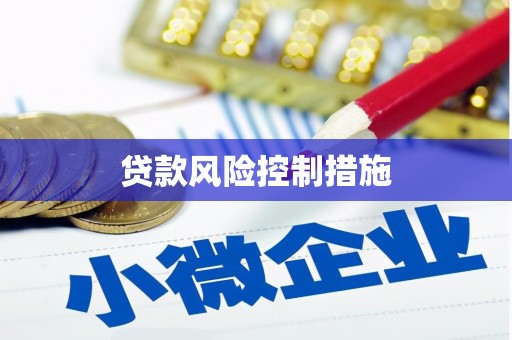 武隆贷款风险控制措施