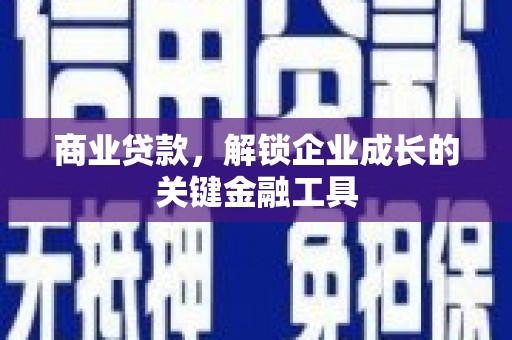 武隆商业贷款，解锁企业成长的关键金融工具