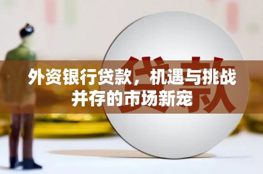 武隆外资银行贷款，机遇与挑战并存的市场新宠