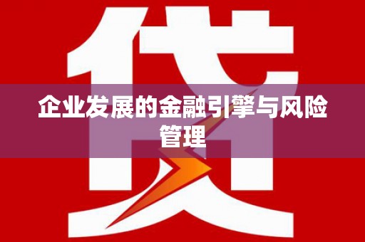 武隆企业发展的金融引擎与风险管理
