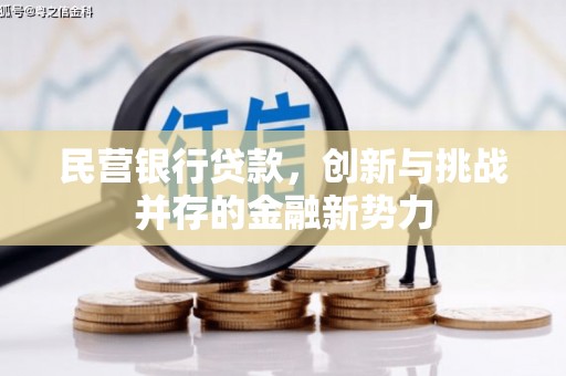 武隆民营银行贷款，创新与挑战并存的金融新势力