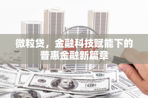 武隆微粒贷，金融科技赋能下的普惠金融新篇章