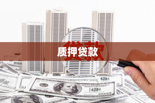 武隆质押贷款