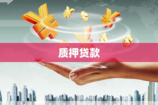 武隆质押贷款