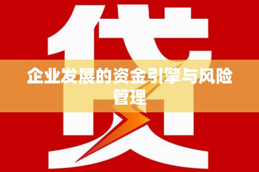 武隆企业发展的资金引擎与风险管理