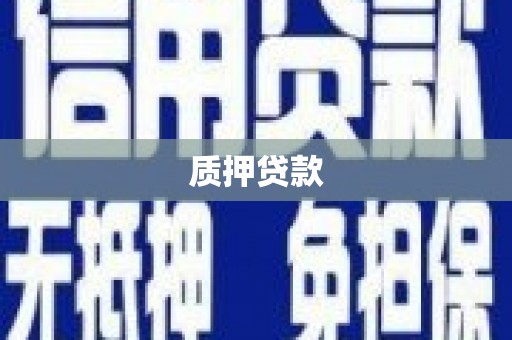武隆质押贷款