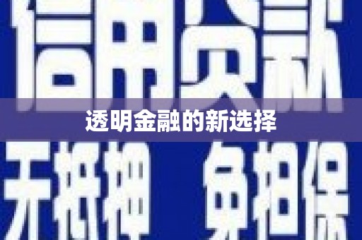 武隆透明金融的新选择