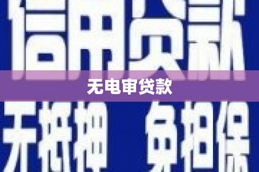 武隆无电审贷款