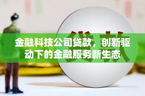 武隆金融科技公司贷款，创新驱动下的金融服务新生态