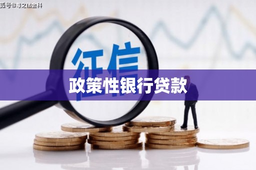 武隆政策性银行贷款