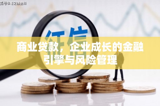 武隆商业贷款，企业成长的金融引擎与风险管理