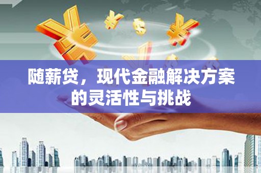 武隆随薪贷，现代金融解决方案的灵活性与挑战