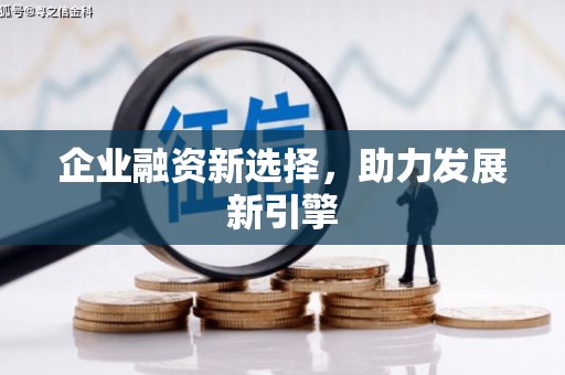 武隆企业融资新选择，助力发展新引擎