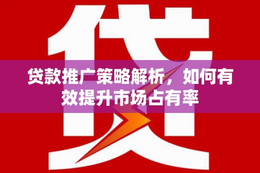 武隆贷款推广策略解析，如何有效提升市场占有率