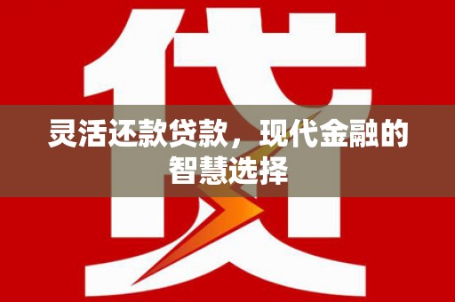 武隆灵活还款贷款，现代金融的智慧选择