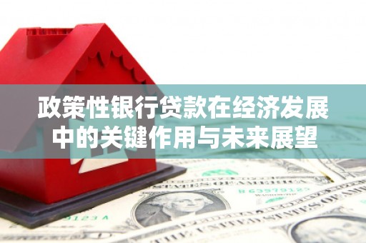 武隆政策性银行贷款在经济发展中的关键作用与未来展望