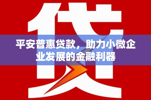 武隆平安普惠贷款，助力小微企业发展的金融利器