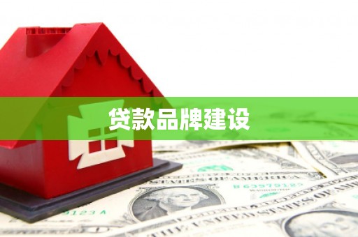 武隆贷款品牌建设