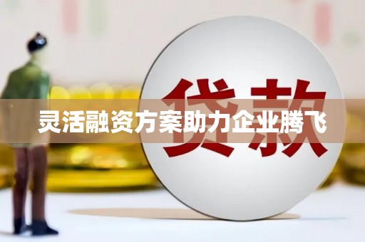 武隆灵活融资方案助力企业腾飞