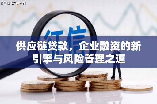武隆供应链贷款，企业融资的新引擎与风险管理之道