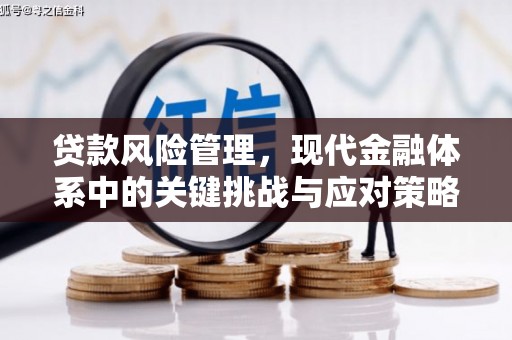武隆贷款风险管理，现代金融体系中的关键挑战与应对策略