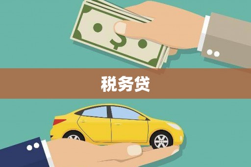 武隆税务贷