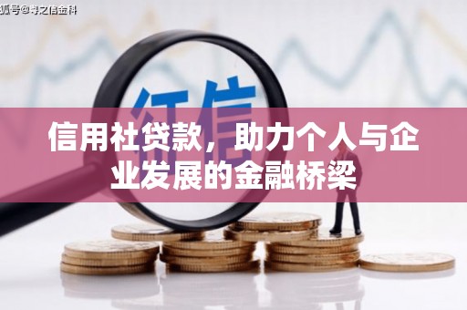 武隆信用社贷款，助力个人与企业发展的金融桥梁