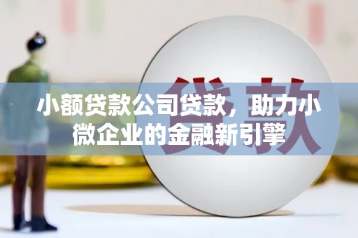 武隆小额贷款公司贷款，助力小微企业的金融新引擎
