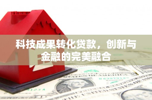 武隆科技成果转化贷款，创新与金融的完美融合