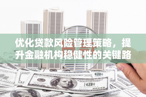 武隆优化贷款风险管理策略，提升金融机构稳健性的关键路径