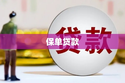 武隆保单贷款