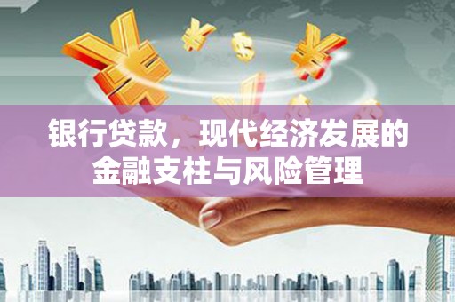 武隆银行贷款，现代经济发展的金融支柱与风险管理