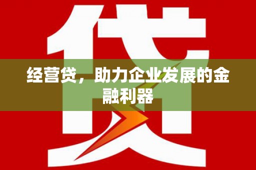 武隆经营贷，助力企业发展的金融利器