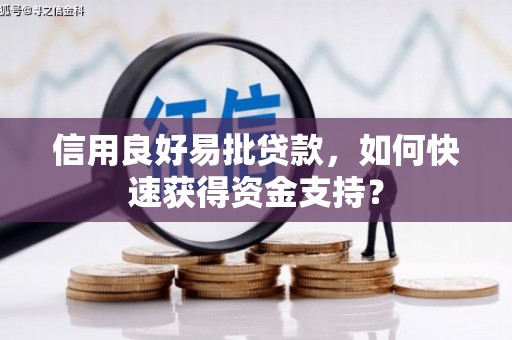 武隆信用良好易批贷款，如何快速获得资金支持？