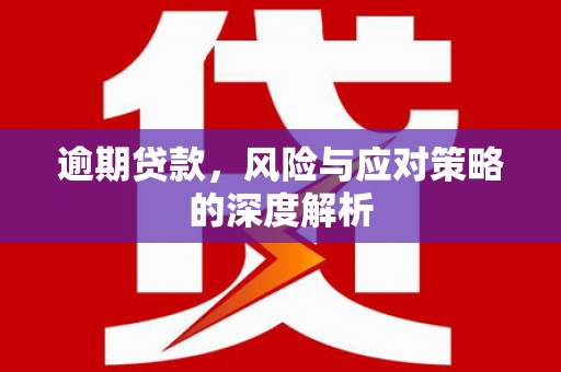 武隆逾期贷款，风险与应对策略的深度解析