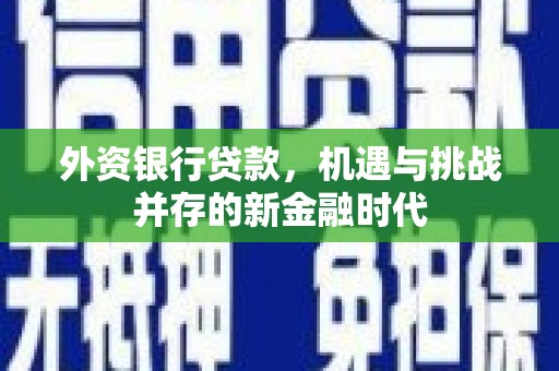 武隆外资银行贷款，机遇与挑战并存的新金融时代