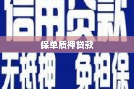 武隆保单质押贷款