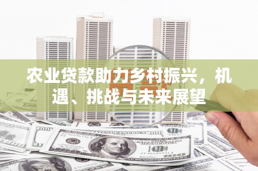 武隆农业贷款助力乡村振兴，机遇、挑战与未来展望