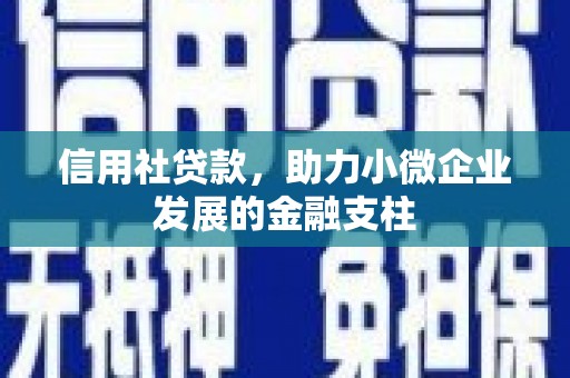 武隆信用社贷款，助力小微企业发展的金融支柱