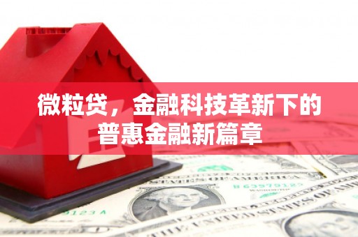 武隆微粒贷，金融科技革新下的普惠金融新篇章