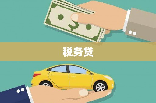 武隆税务贷