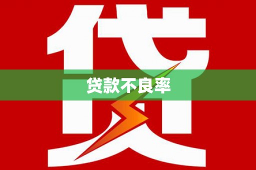武隆贷款不良率