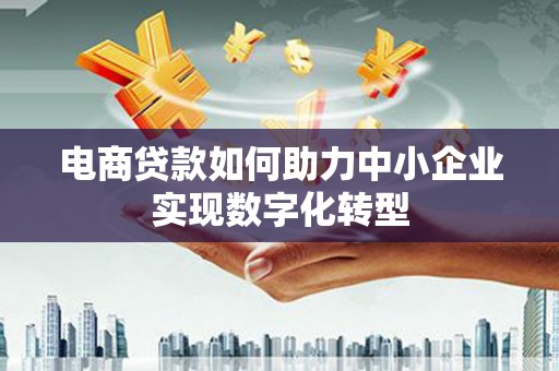 武隆电商贷款如何助力中小企业实现数字化转型