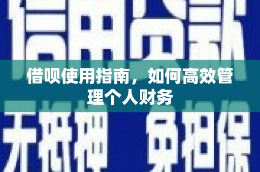 武隆借呗使用指南，如何高效管理个人财务