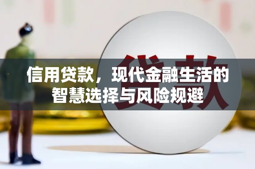 武隆信用贷款，现代金融生活的智慧选择与风险规避