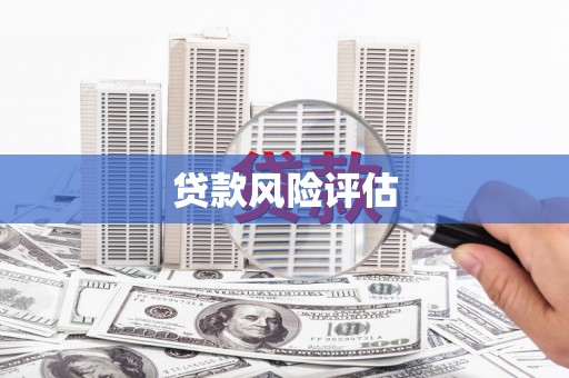 武隆贷款风险评估