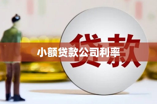 武隆小额贷款公司利率